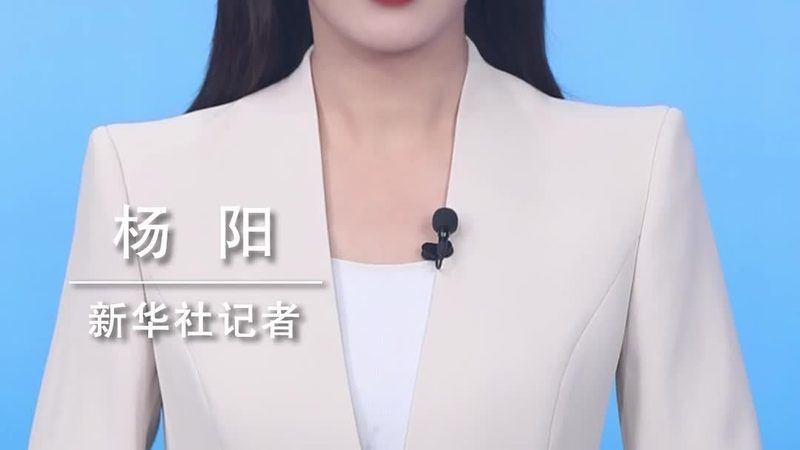 制造业软件定制开发：揭秘项目报价单背后的逻辑**
